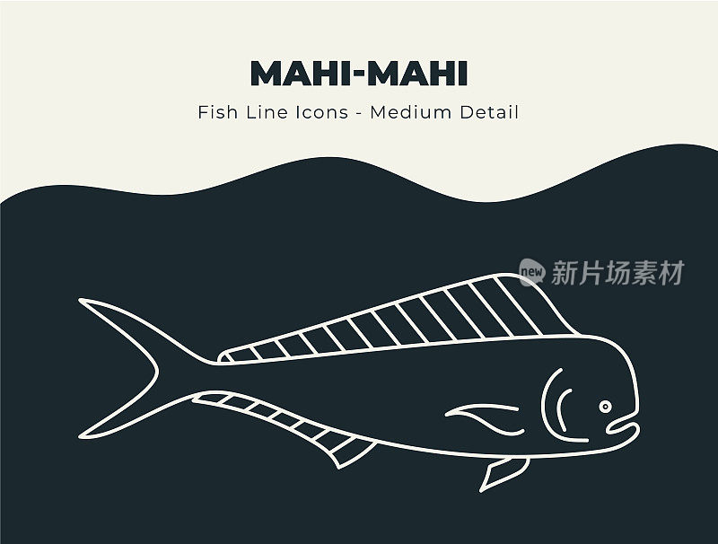 Mahi Mahi海豚鱼线图标集。潜入与鱼和海鲜库存矢量的创意图标的海洋，包括鱼鳞，鳍和水生海洋生物的插图